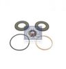 RENAULT 5001843024S2 Repair Kit, shift cylinder